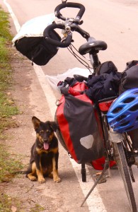 fiets met hond