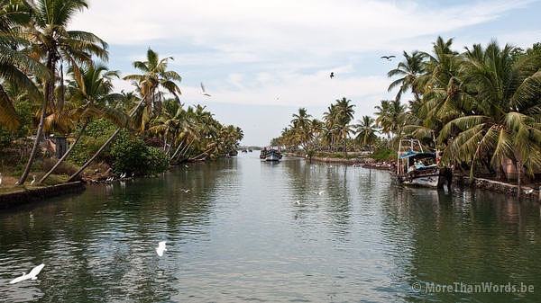 bp-backwaters-2